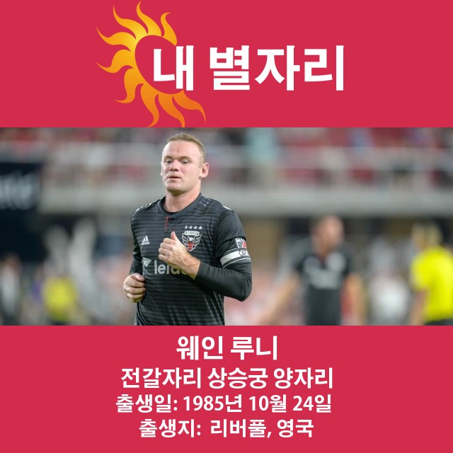 웨인 루니: 전갈자리의 빛나는 여정