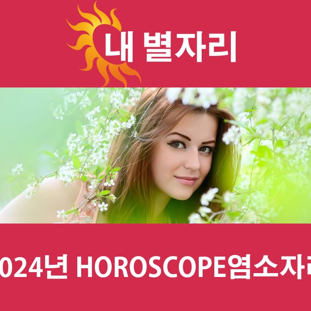 염소자리의 2024 연간 운세