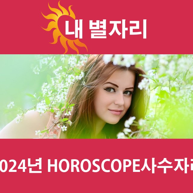 사수자리의 2024 연간 운세