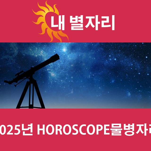 물병자리의 2025 연간 운세