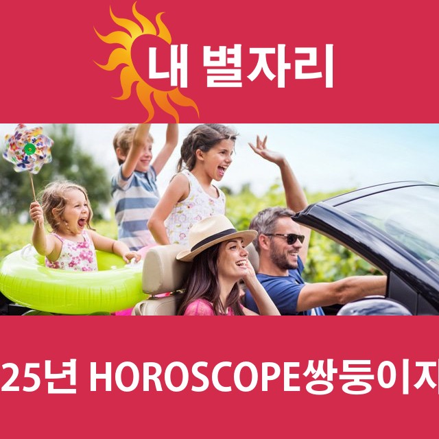 쌍둥이자리의 2025 연간 운세