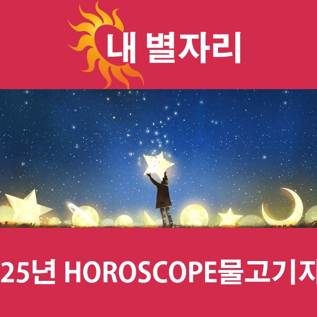 물고기자리의 2025 연간 운세