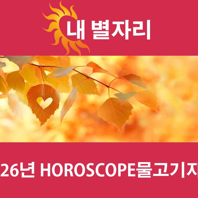 물고기자리의 2026 연간 운세