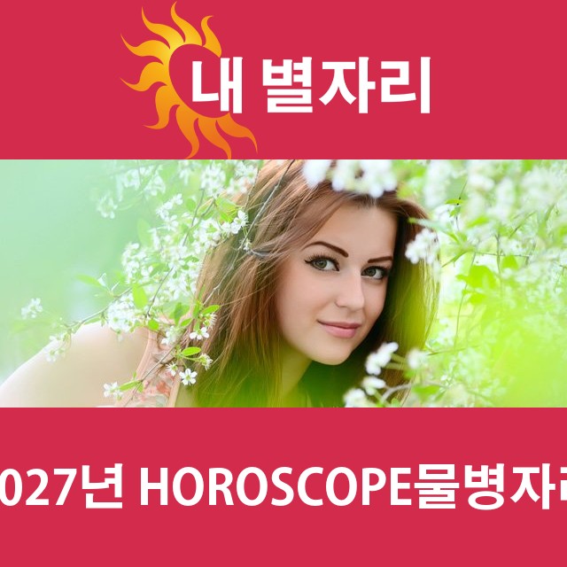 물병자리의 2027 연간 운세