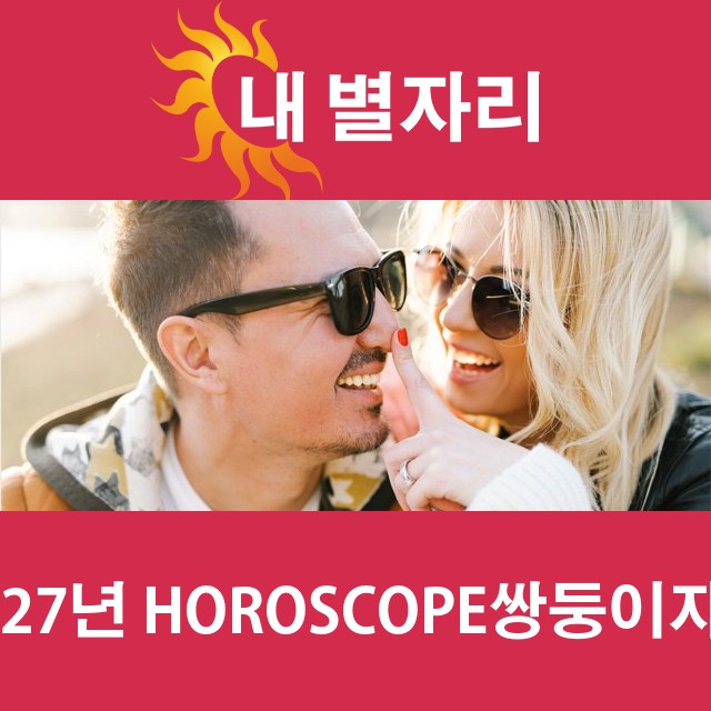 쌍둥이자리의 2027 연간 운세