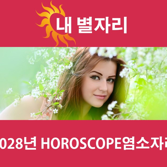 염소자리의 2028 연간 운세