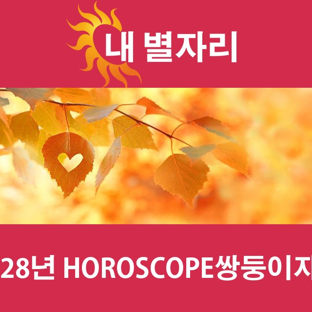 쌍둥이자리의 2028 연간 운세