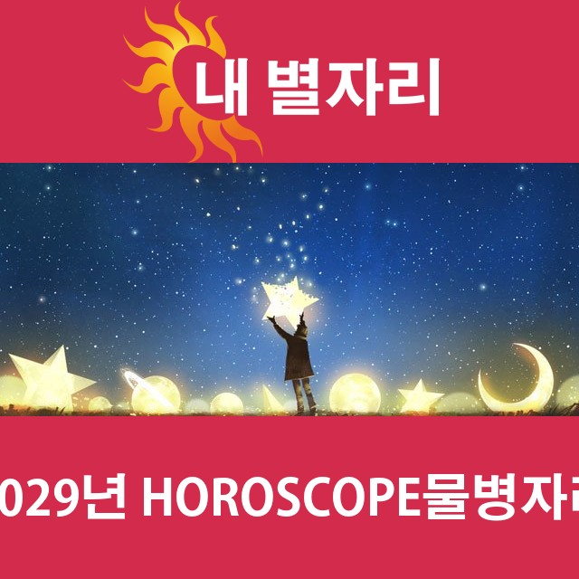 물병자리의 2029 연간 운세