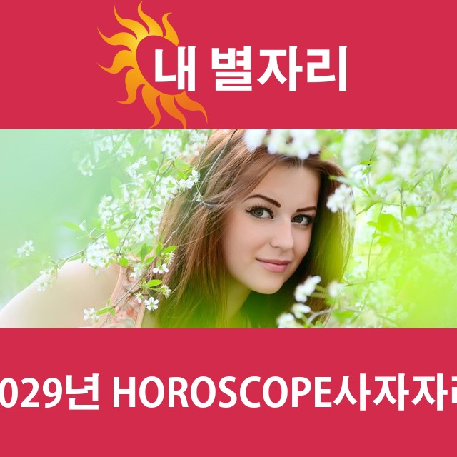 사자자리의 2029 연간 운세