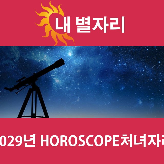 처녀자리의 2029 연간 운세