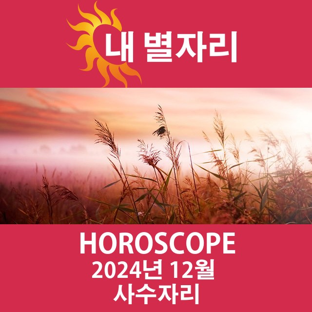 2024년12의 사수자리 월간 운세