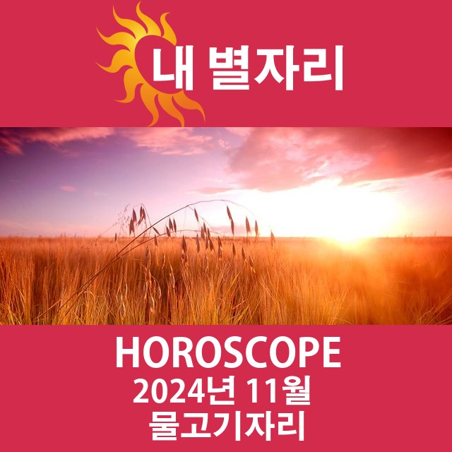 2024년11의 물고기자리 월간 운세