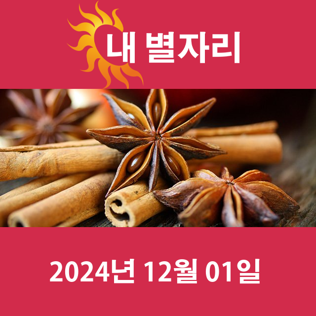 일요일 2024년 12월 1일 의 일일 운세 예측