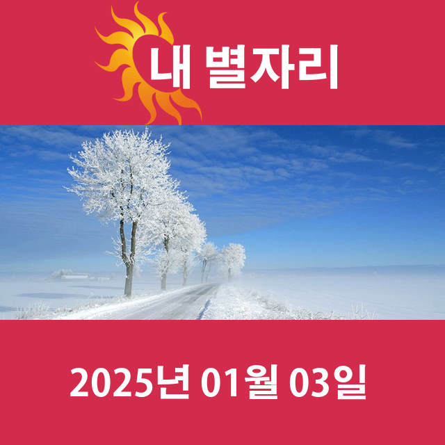 금요일 2025년 1월 3일 의 일일 운세 예측