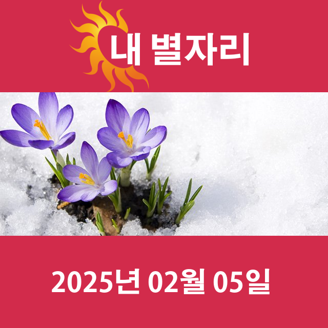 수요일 2025년 2월 5일 의 일일 운세 예측