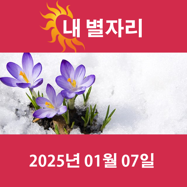 화요일 2025년 1월 7일 의 일일 운세 예측