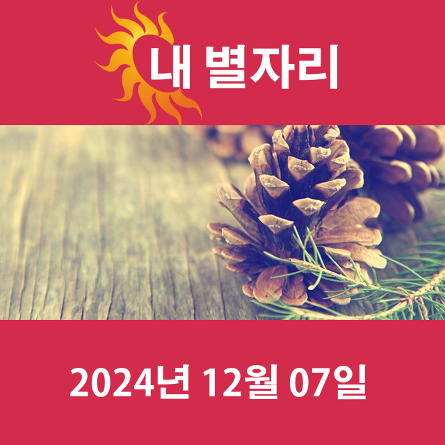 토요일 2024년 12월 7일 의 일일 운세 예측