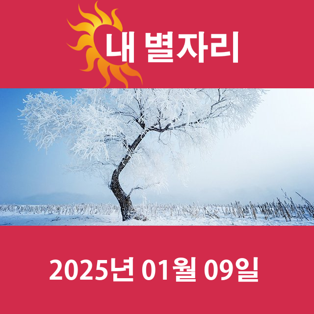 목요일 2025년 1월 9일 의 일일 운세 예측