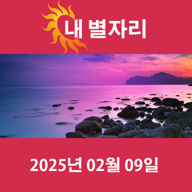 일요일 2025년 2월 9일 의 일일 운세 예측