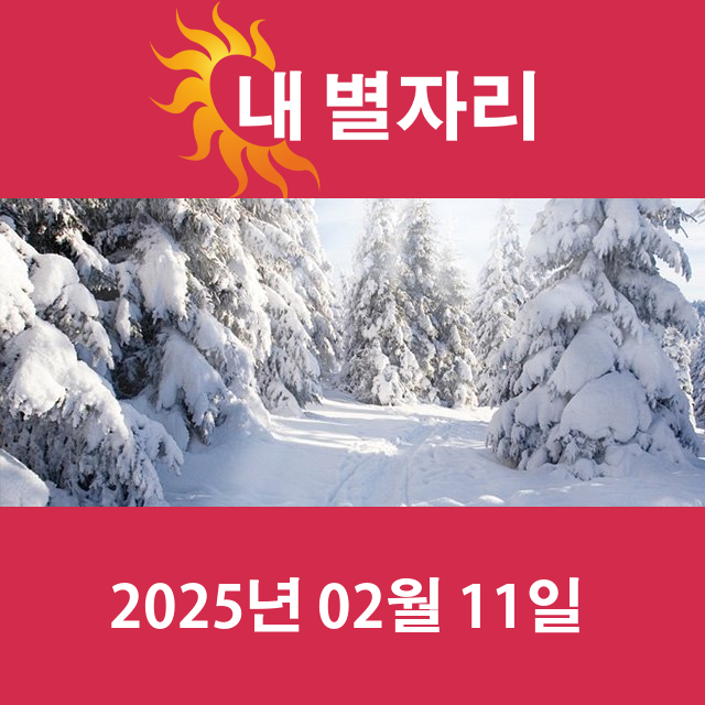 화요일 2025년 2월 11일 의 일일 운세 예측