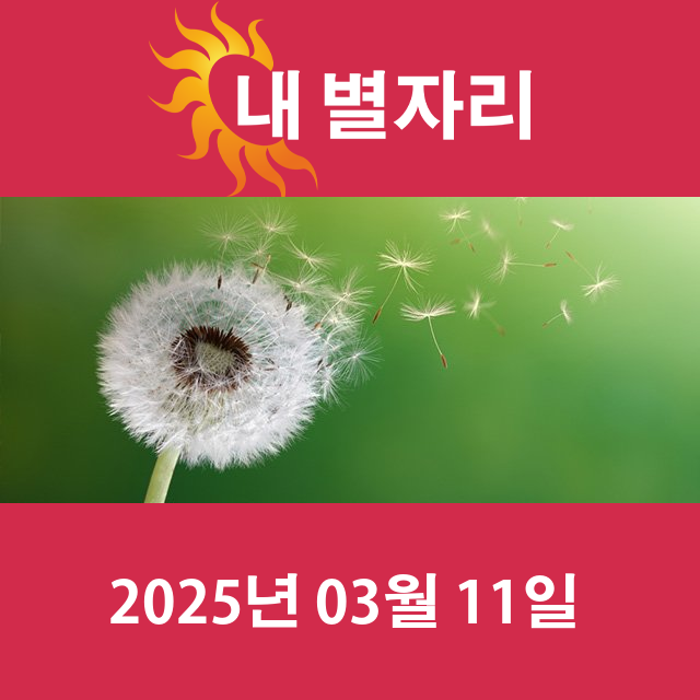 2025년3월11일의 일일 운세 예측