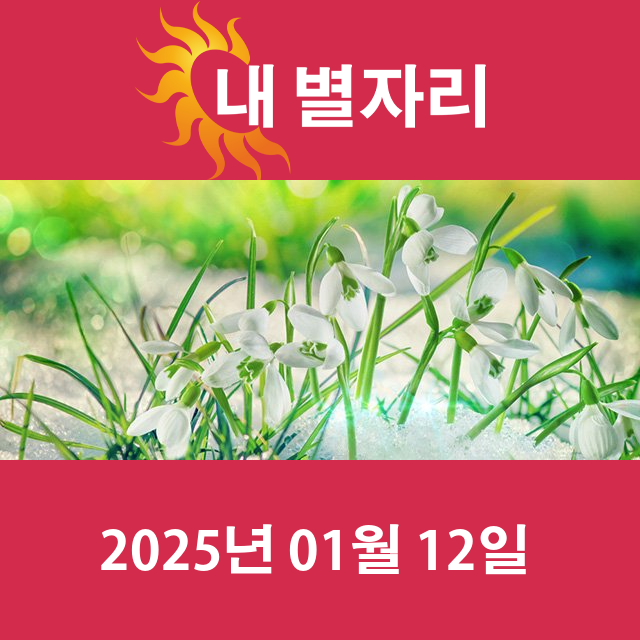 일요일 2025년 1월 12일 의 일일 운세 예측