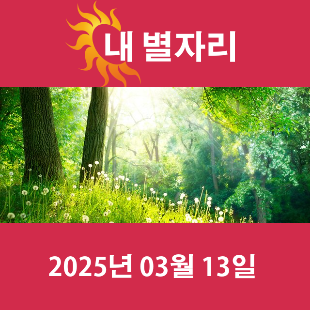 2025년3월13일의 일일 운세 예측