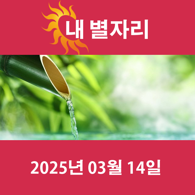 2025년3월14일의 일일 운세 예측