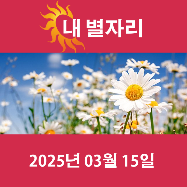 2025년3월15일의 일일 운세 예측