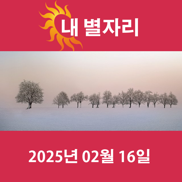 2025년2월16일의 일일 운세 예측