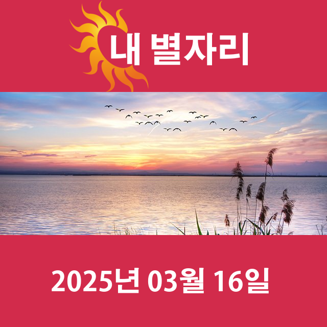 2025년3월16일의 일일 운세 예측