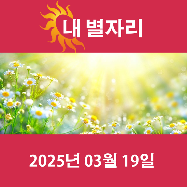 2025년3월19일의 일일 운세 예측