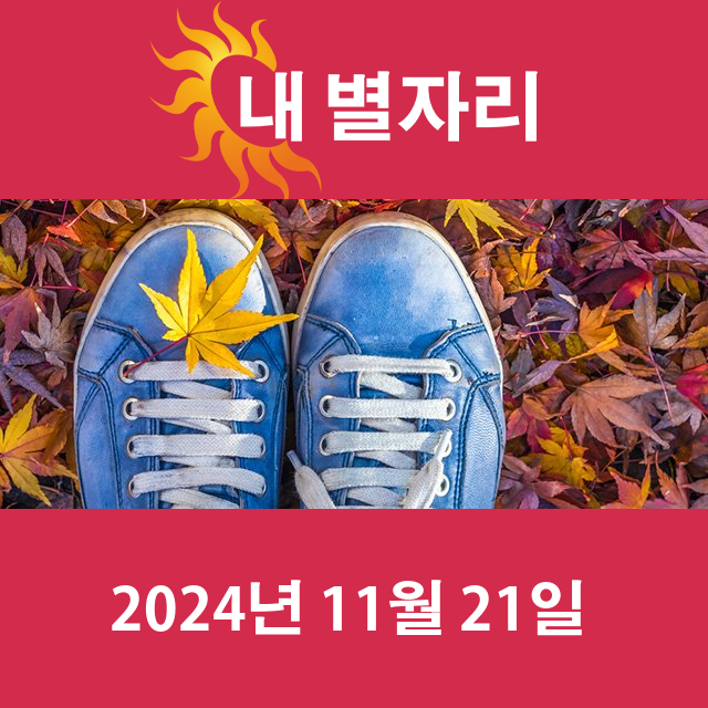 오늘의 사수자리의 운세를 확인하세요