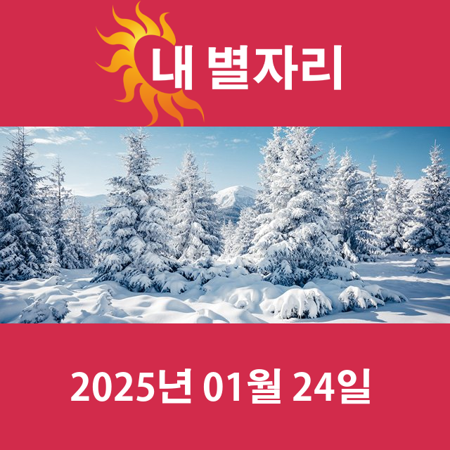 금요일 2025년 1월 24일 의 일일 운세 예측