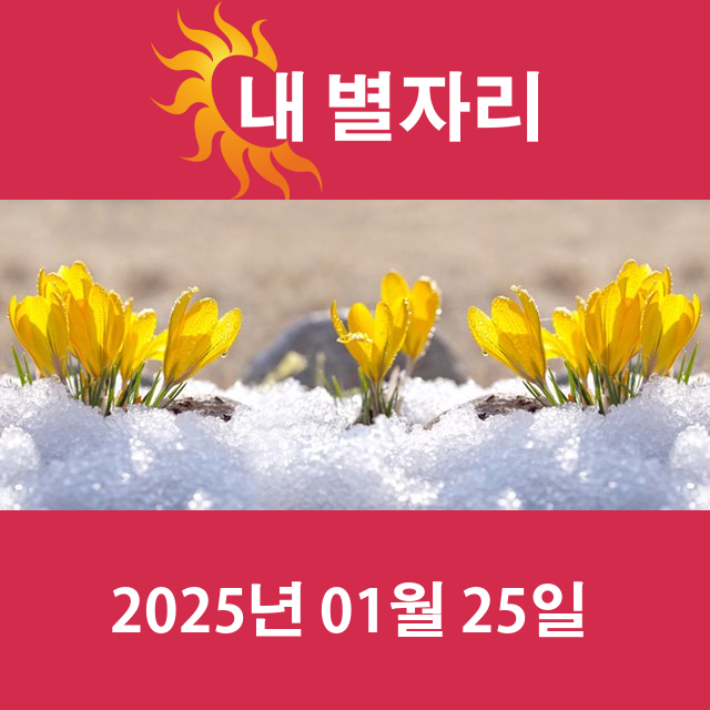 토요일 2025년 1월 25일 의 일일 운세 예측